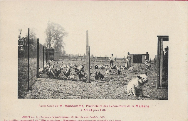 71 ascq - basse cour de mme vandamme - labo de la maleane 01